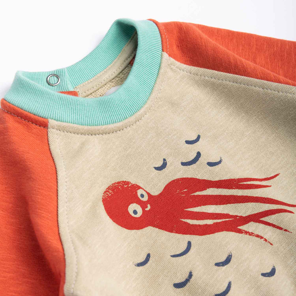 Moulin Roty | Felpa leggera in cotone tricolore polpo, Hercule Bord de mer