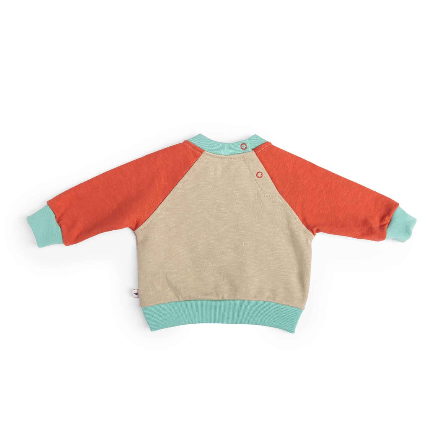 Moulin Roty | Felpa leggera in cotone tricolore polpo, Hercule Bord de mer