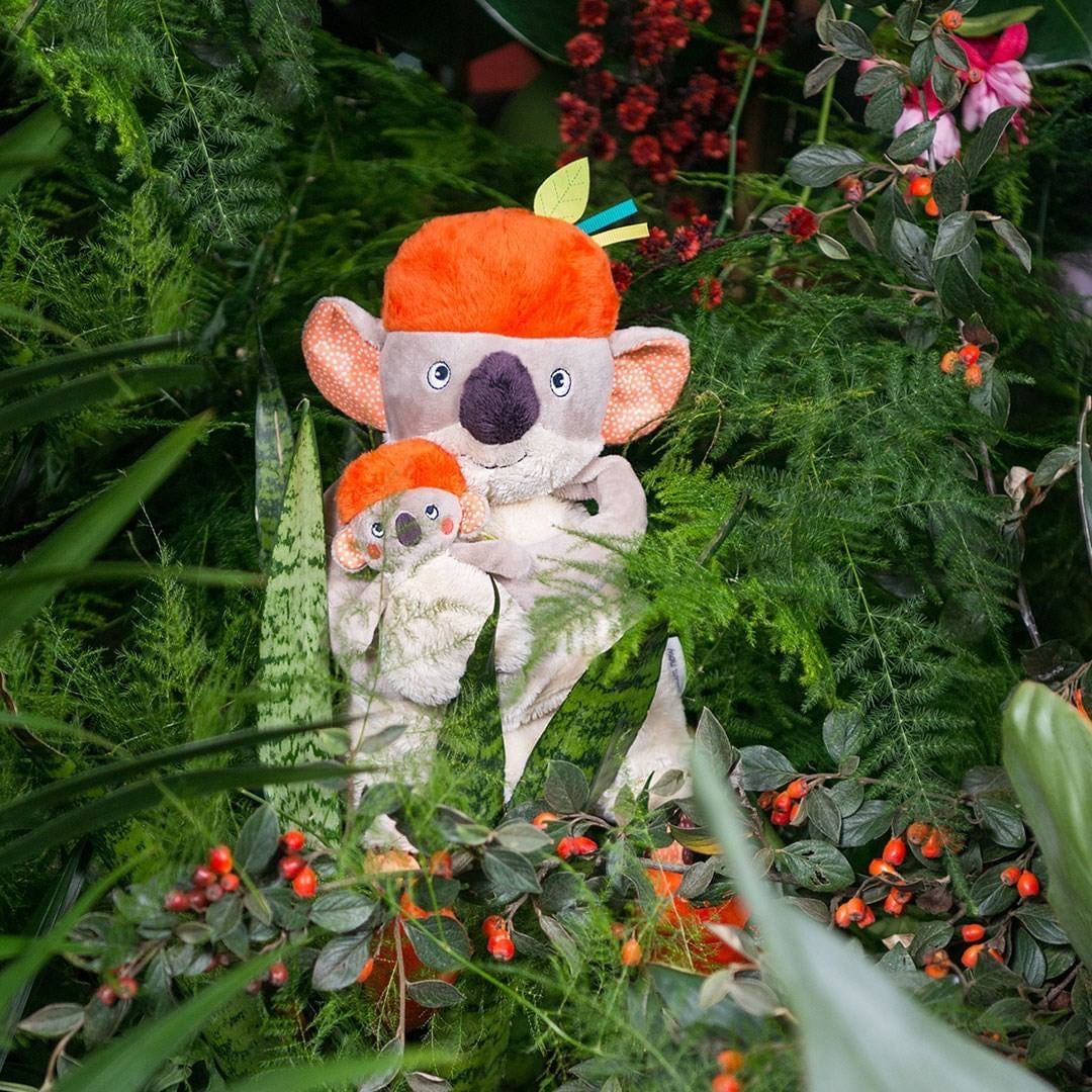 Peluche Koala attività